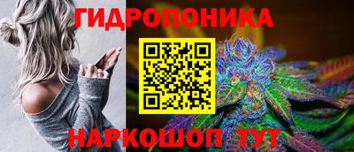 PSILOCYBIN Кимры