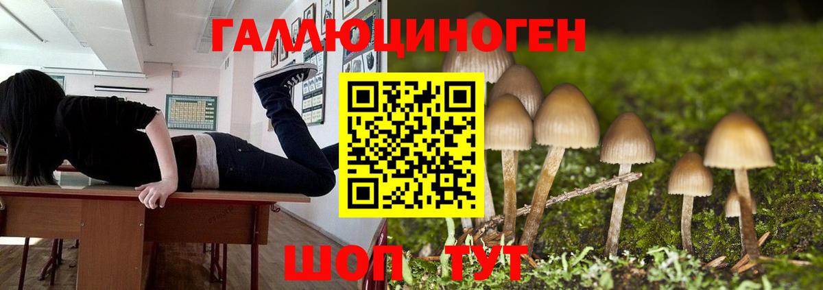 Галлюциногенные грибы мухоморы  Вход с VPN  Кропоткин  Галлюциногенные грибы Cubensis 